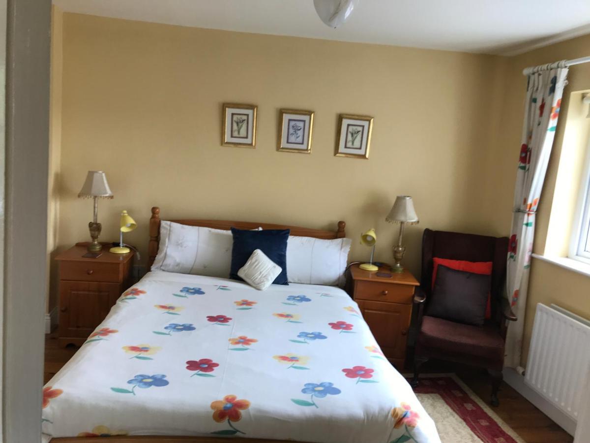 Teac Seain Bar & Bnb Annascaul Luaran gambar
