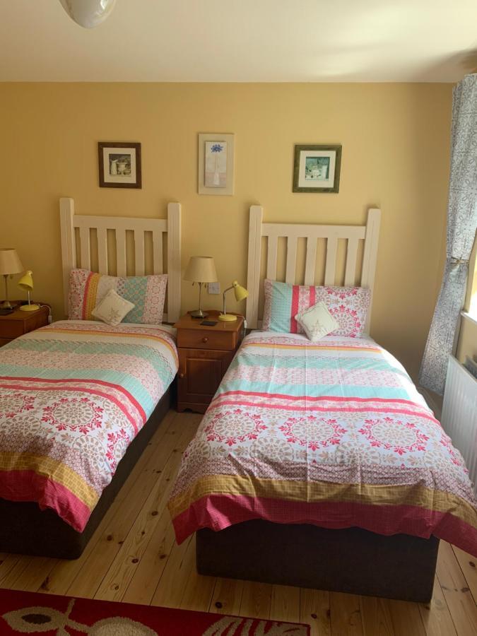 Teac Seain Bar & Bnb Annascaul Luaran gambar